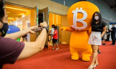 Bitcoin Halving and Market Optimism Drive Millions to Cryptocurrency Startups