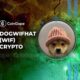 Solana Meme Coin Dogwifhat (WIF) Reaches $41 on Bybit After Listing in Spot