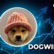 Solana's leading meme coin Dogwifhat (WIF) skyrockets 1,481% in major IPO anomaly