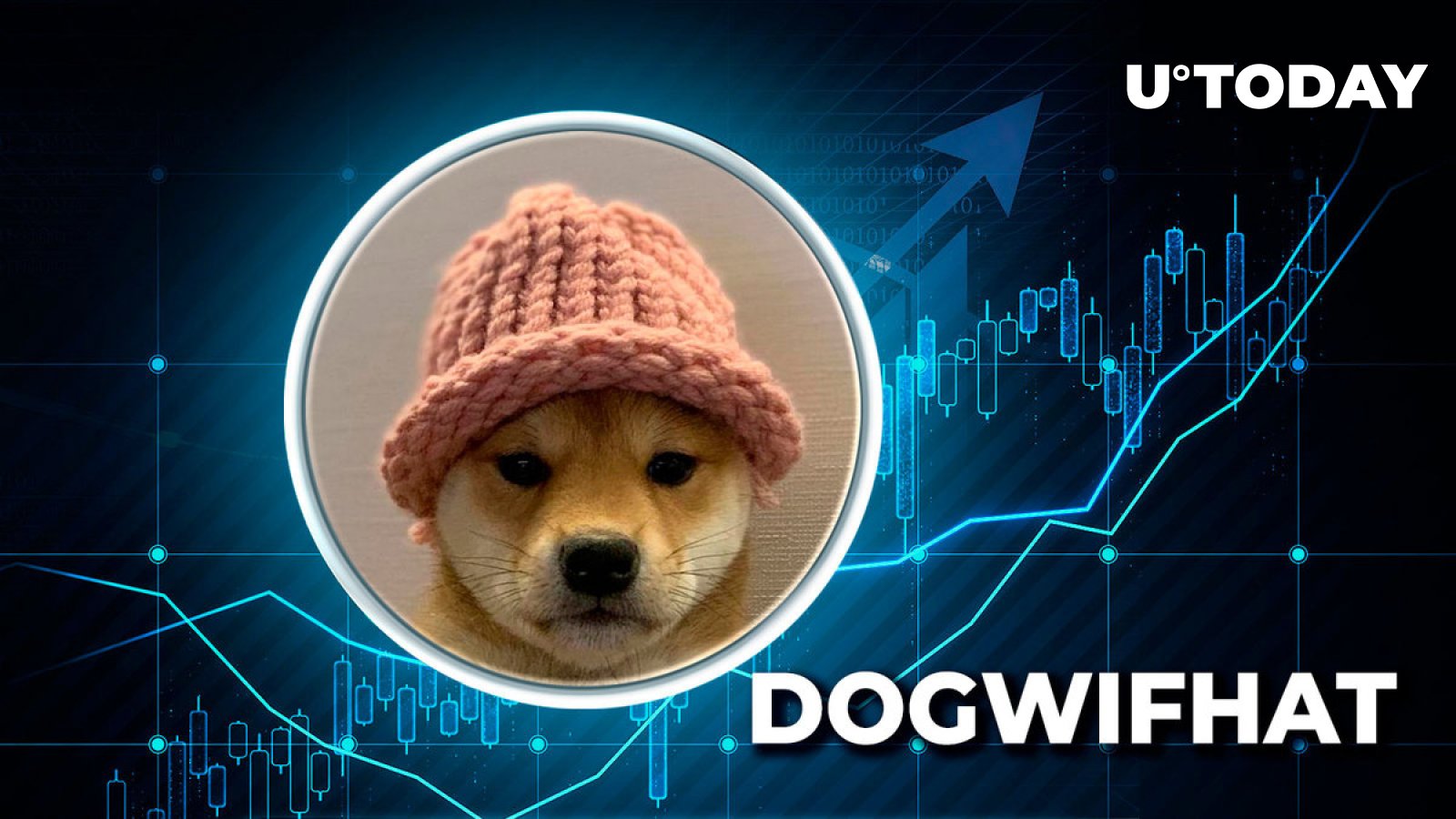 Solana's leading meme coin Dogwifhat (WIF) skyrockets 1,481% in major IPO anomaly