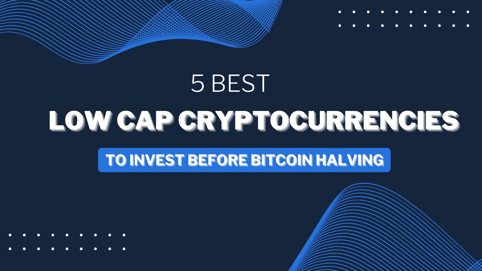 The 5 best small-cap cryptocurrencies to invest in 2024