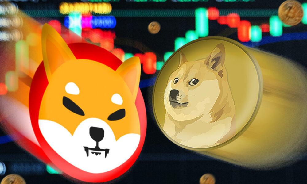 Shiba Inu Dogecoin