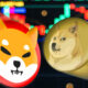 Shiba Inu Dogecoin