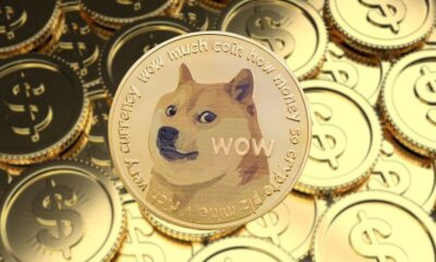 Analyst Says Dogecoin(DOGE) Is a 'Crapshoot,' Could These 3 Meme Coins Have Higher Returns?