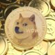 Analyst Says Dogecoin(DOGE) Is a 'Crapshoot,' Could These 3 Meme Coins Have Higher Returns?