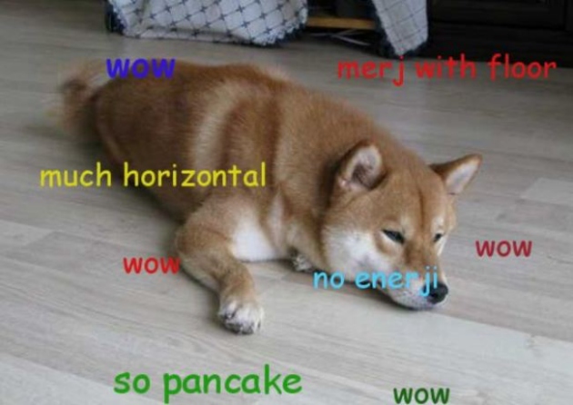 doge-meme-example