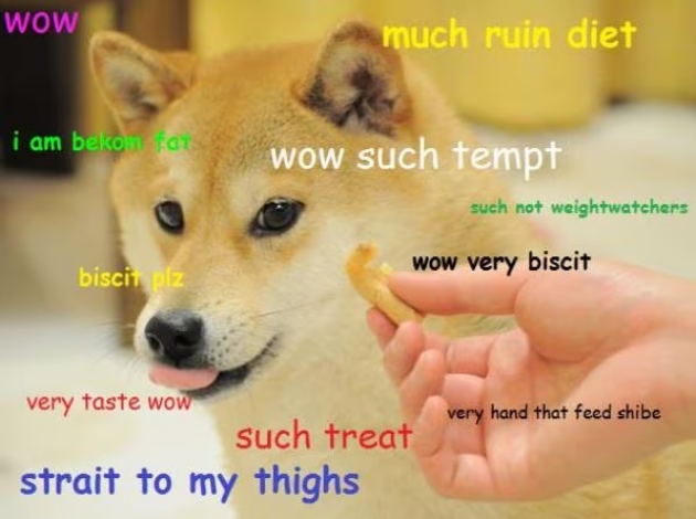 doge-meme-example