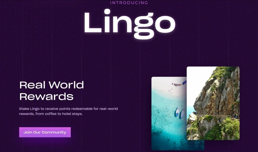 lingo crypto project