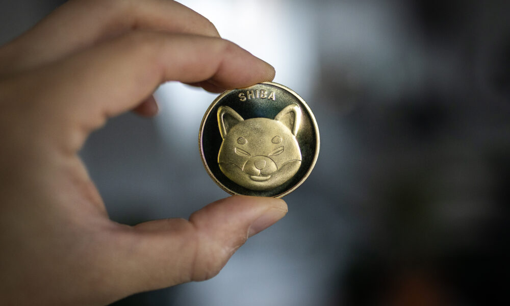 Analyst predicts Shiba Inu will rise 50% amid rising meme coin market