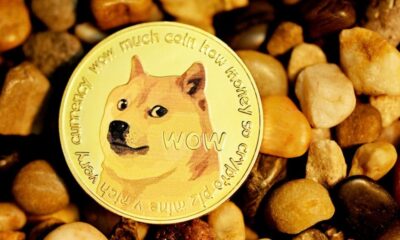 Shiba Inu (SHIB), Pepe (PEPE), and This Trump-Themed Memecoin Have Outpaced Bitcoin This Week