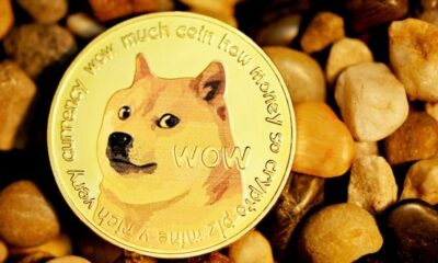 Shiba Inu (SHIB), Pepe (PEPE), and this Trump-themed memecoin have outpaced Bitcoin this week