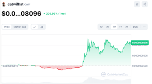 Monthly performance of CatWifHat