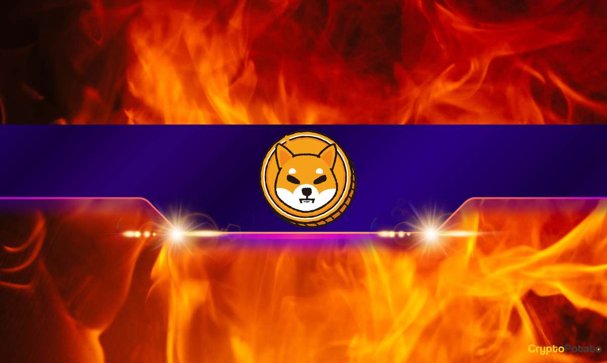 Shiba Inu Burn Rate (SHIB) Explodes Nearly 600%: Details