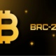 10 migliori token BRC20 da acquistare adesso