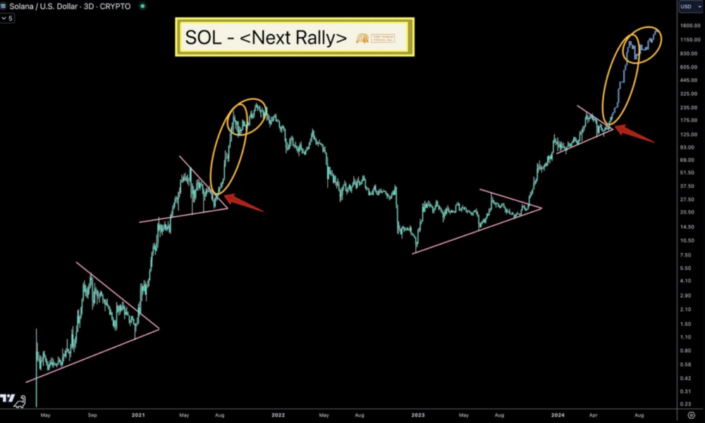 Will Solana reach $1,000?  Analyst makes bullish call despite slowdown