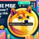 Are memecoins losing momentum?  Shiba Inu, Dogecoin prices say...