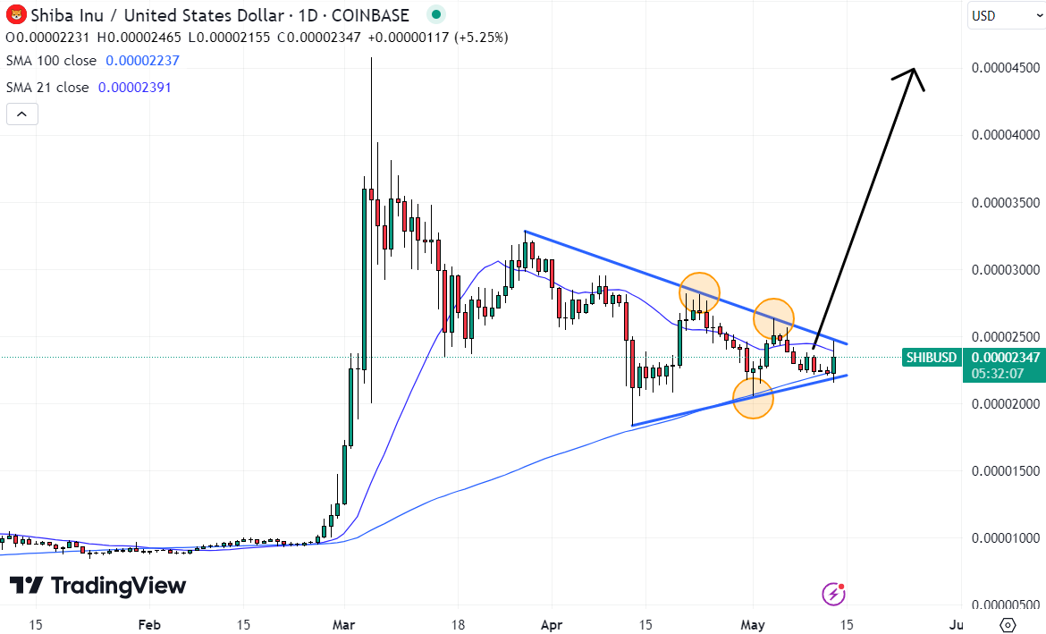 Shiba Inu could be the best crypto to buy right now. 