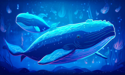 Bitcoin Whales Devour Over 47,000 BTC Worth $2,967,768,000 in Just 24 Hours Amid 'New Era': CryptoQuant CEO