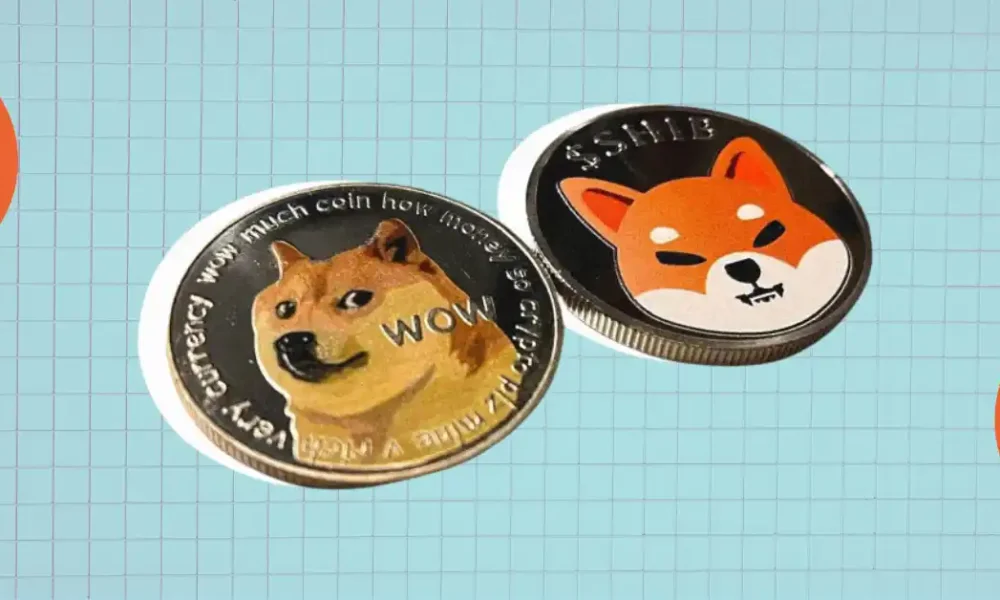 DOGE and SHIB prices suggest a race to the bottom amid increased volatility!  What's next?