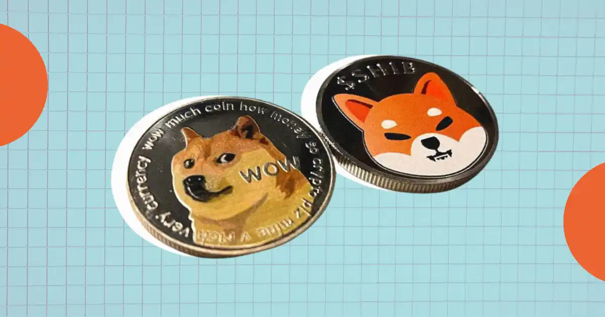 DOGE and SHIB prices suggest a race to the bottom amid increased volatility!  What's next?