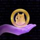 DOGE is the "BTC of memes" and these two meme coins are ETH and a "must have", says trader