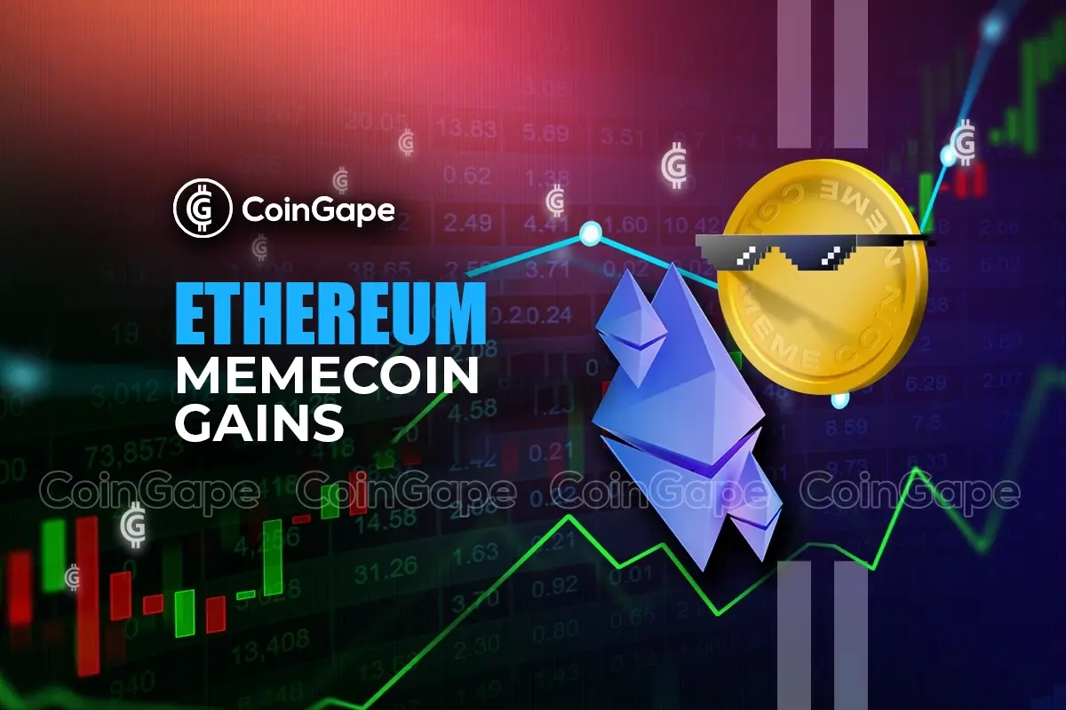 Ethereum Meme Coin Earnings: Will Flows Sustain?