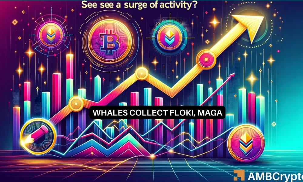 Floki Inu and Donald Trump-Linked MAGA See Whale Activity - Why?