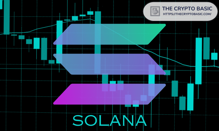 Here are 3 Solana meme coins to consider this week