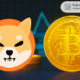 Here's the price of Shiba Inu if Bitcoin hits $250,000 and $777,000