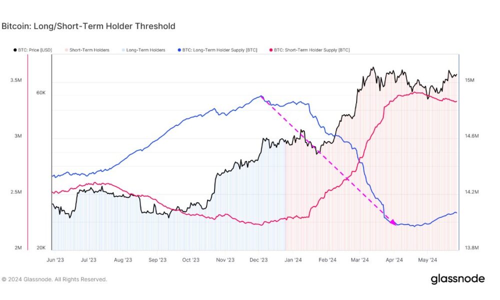 Long-Term Bitcoin Holders