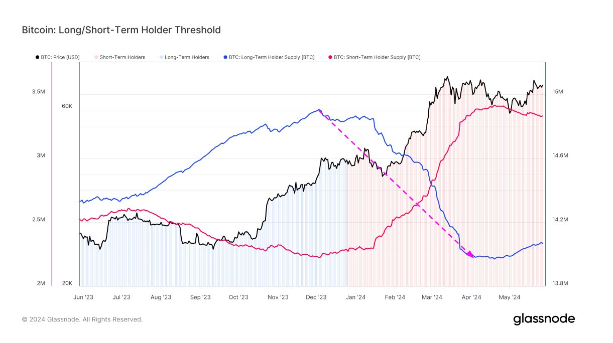 Long-Term Bitcoin Holders