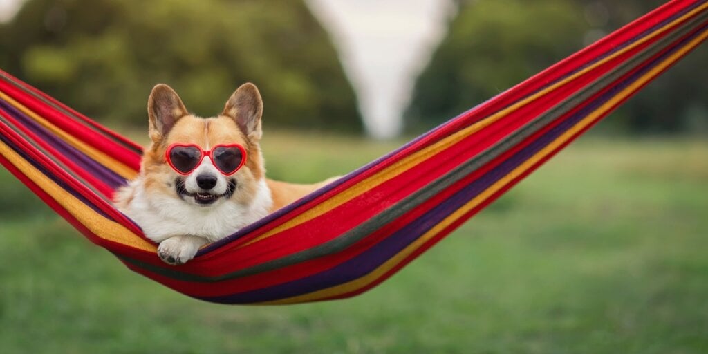 Little-known meme coin CorgiAI Rises 60%, launches Pepecoin and Memecoin