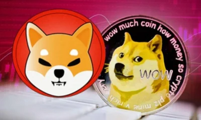 Memecoin on the run!  Will DOGE price and SHIB price go up 50% in May?