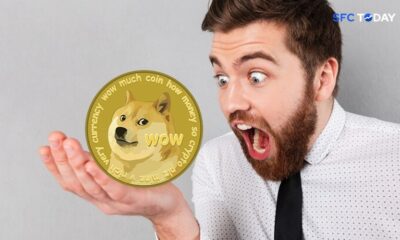 Memecoins are evidence of the sell-off in the changing cryptocurrency landscape