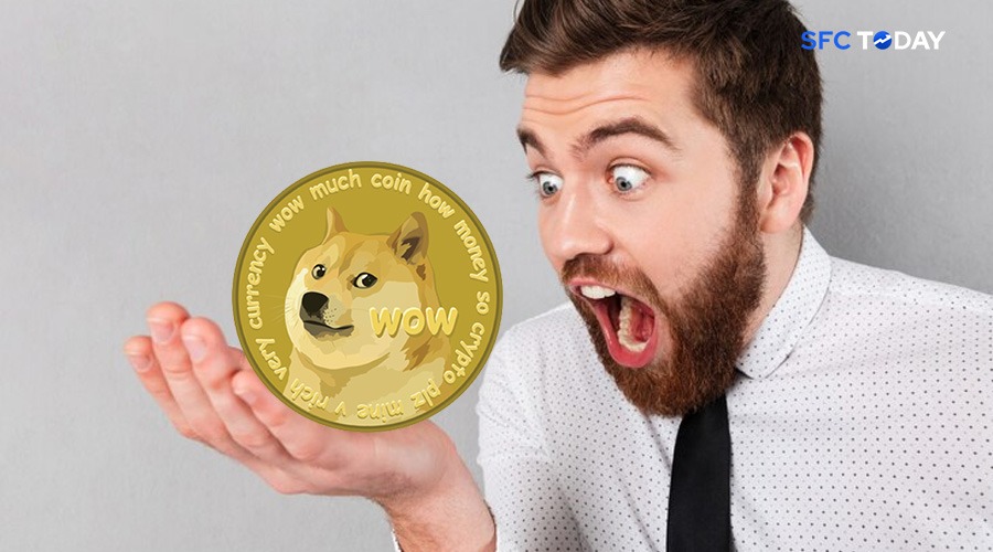 Memecoins are evidence of the sell-off in the changing cryptocurrency landscape