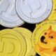 Pepe and Dogecoin are on the rise, Sealana gets $1 million in funding