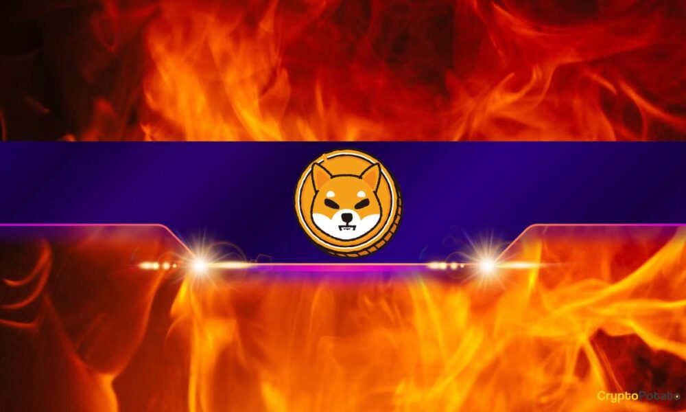 Shiba Inu Burn Rate (SHIB) Explodes Nearly 600%: Details