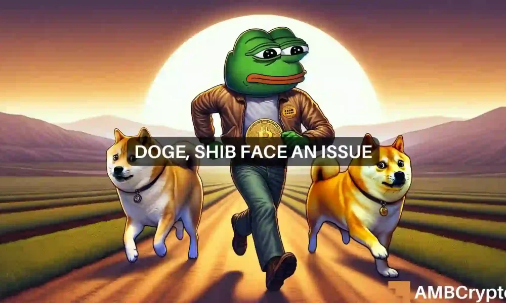 Shiba Inu, Dogecoin left behind: will PEPE be the new king of memecoins?