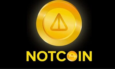 The 5 most promising meme coins of 2024 together with Notcoin