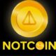 The 5 most promising meme coins of 2024 together with Notcoin