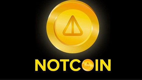 The 5 most promising meme coins of 2024 together with Notcoin