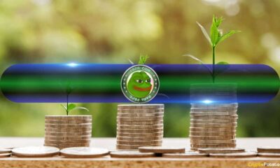 Trader Makes $46 Million With PEPE Amid Meme Coin Mania