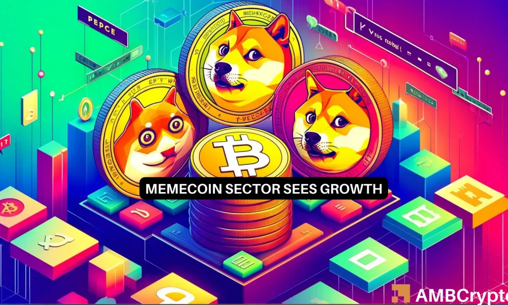 WIF and PEPE DOGE dominate while memecoins rise 114%: what will be the next step?