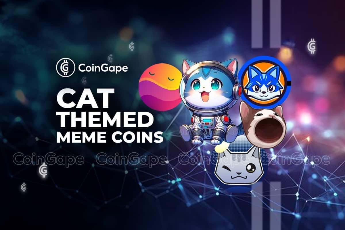 What happened to the momentum of feline-themed Memecoins?