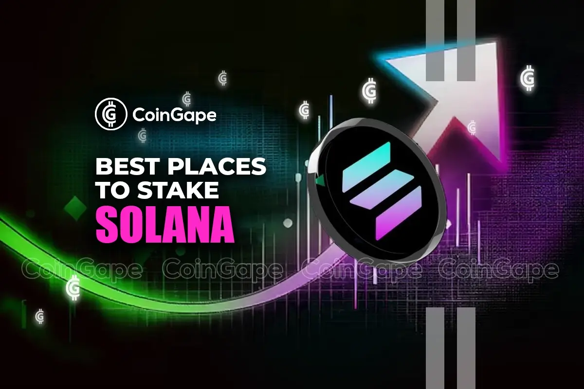 Where to stake out Solana?  5 Best Platforms for Staking Solana