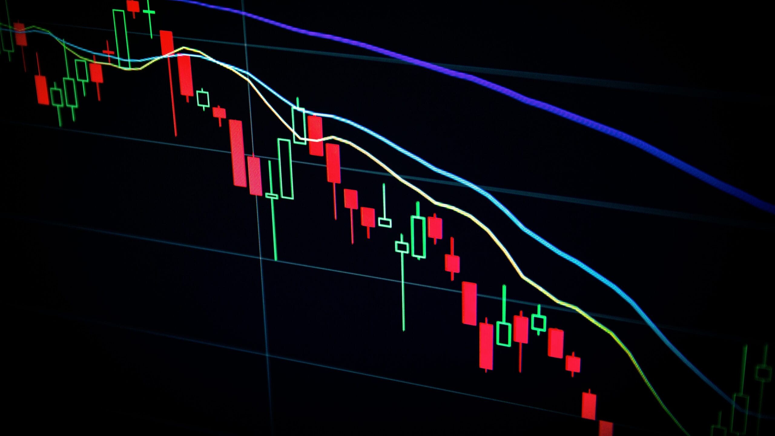 Why did the crypto market crash in 2024?  – Advisor Forbes INDIA