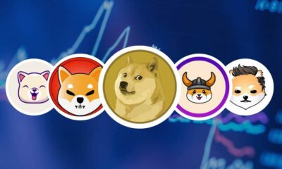 Will dog-themed Memecoins recover after 11% drop?