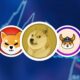 Will dog-themed Memecoins recover after 11% drop?