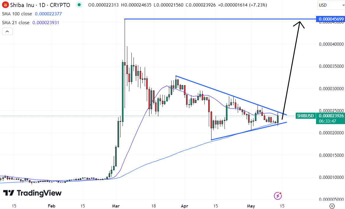 Shiba Inu could be the next GME stock if it can break this pattern. 