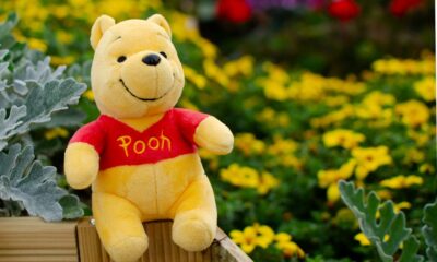 Winnie The Pooh themed coin rises 46% while Memecoin continues to rise despite the bearish trend seen in larger cryptocurrencies such as Bitcoin, Ethereum, Dogecoin